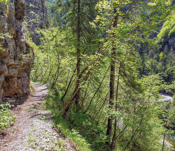 I percorsi nella natura