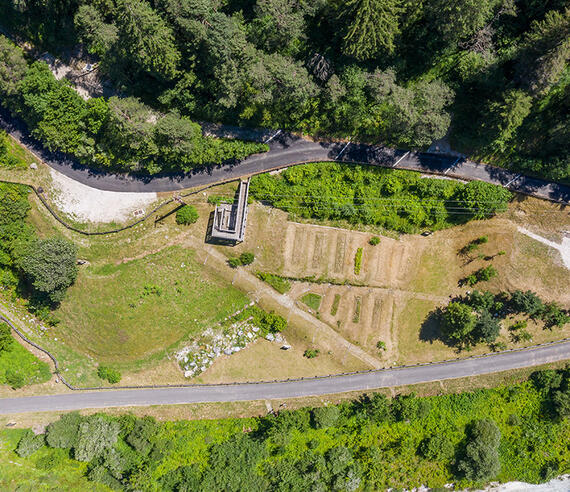 Giardino botanico