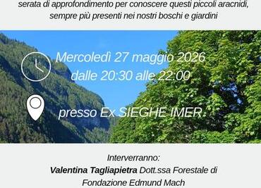 Parliamo di zecche
