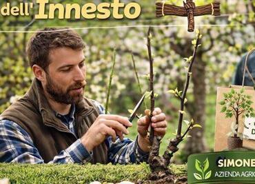 Corso pratico sulle tecniche di innesto