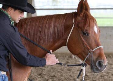 Clinic Gratuito di Osteopatia