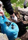 Clean Up Day