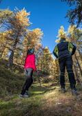 Fuori Rotta, tra Detox e Panorami Inediti