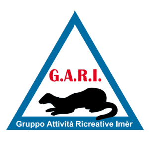 G.A.R.I.